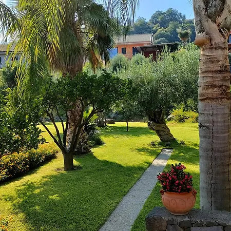 Casa Dell'antico Ulivo 2 By World Apartment