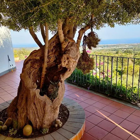 Apartament Casa Dell'antico Ulivo 2 By World *